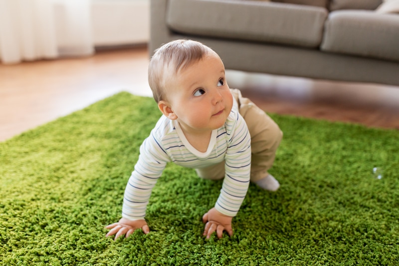 Tests on Carpet Padding Show Toxins - The New York Times